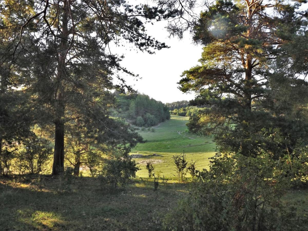 Agroturystyka Dolina23 Villa Piaski Eksteriør billede